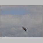 Flugtag _Lehrte_2010_207.jpg